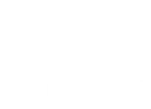 NexHealth Logo
